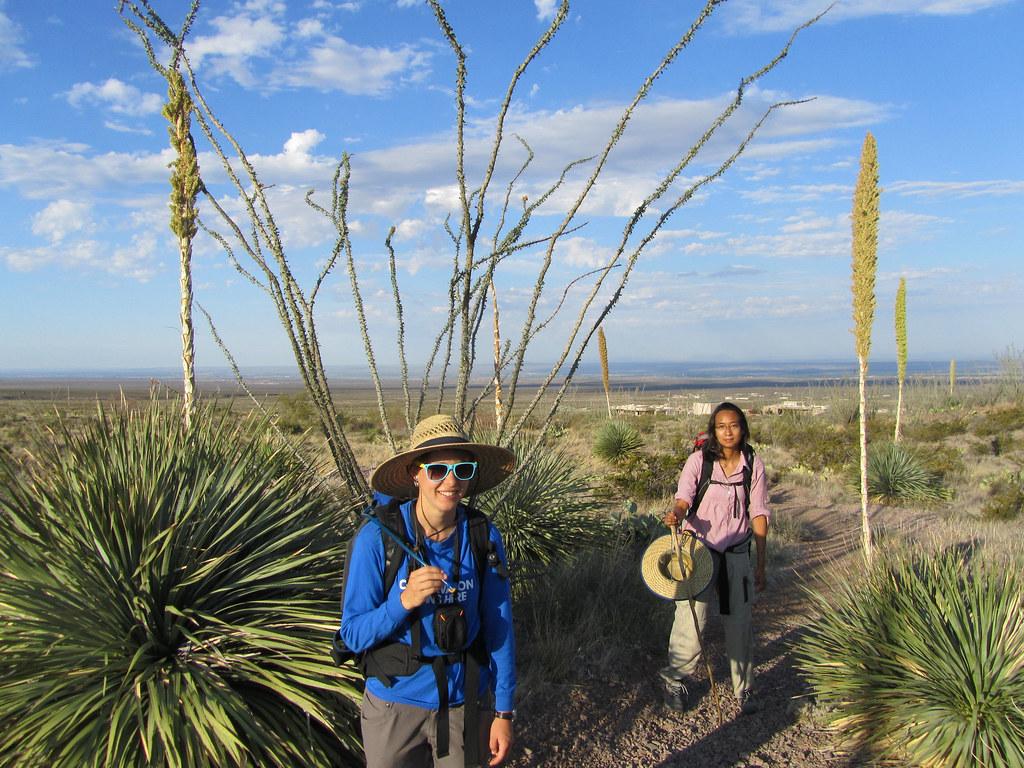 Las Cruces 2026-2027 Budget Adjusts Sales Tax Allocation for Infrastructure and Workforce Programs